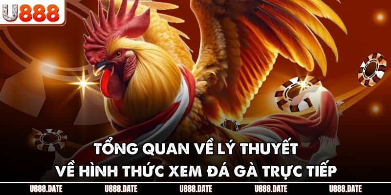 Tổng quan về lý thuyết về hình thức xem đá gà trực tiếp